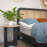 6. "Cane Oval Queen Bed with a luxurious and inviting design, perfect for any bedroom"