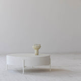 2. "Stylish Luna Coffee Table featuring solid wood legs and spacious storage shelf"