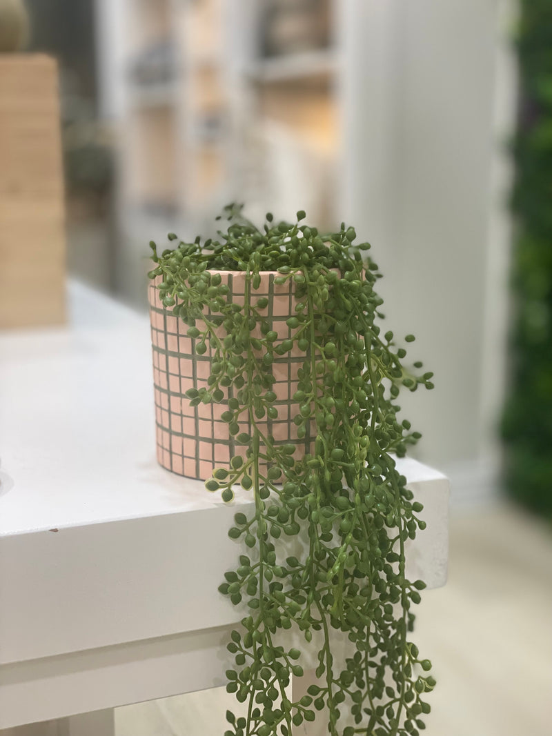 String of Pearls with Pot