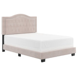 1. "Pixie 54" Double Bed in Blush Pink - Elegant and Stylish Bedroom Furniture"