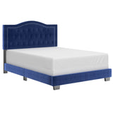 1. "Pixie 60" Queen Bed in Blue - Elegant and Comfortable Queen Size Bed"
