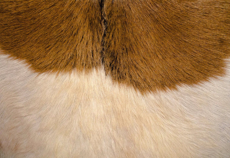 9. Rio Cool Armchair - Cool Brown, Leather/Goat Hair with plush cushioning