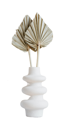 Dried Palm Leaf